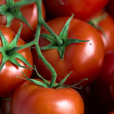 Cipriani Food - Organic Sansovina Sauce